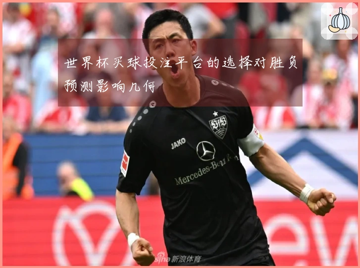 世界杯买球投注平台的选择对胜负预测影响几何