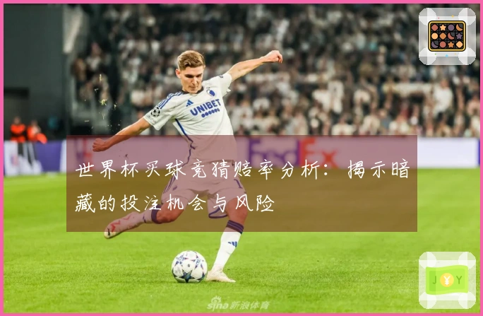 世界杯买球竞猜赔率分析：揭示暗藏的投注机会与风险