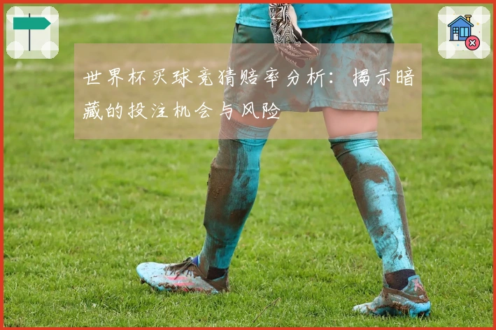 世界杯买球竞猜赔率分析：揭示暗藏的投注机会与风险